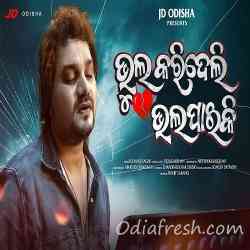 Bhul Karideli Bhala Paiki